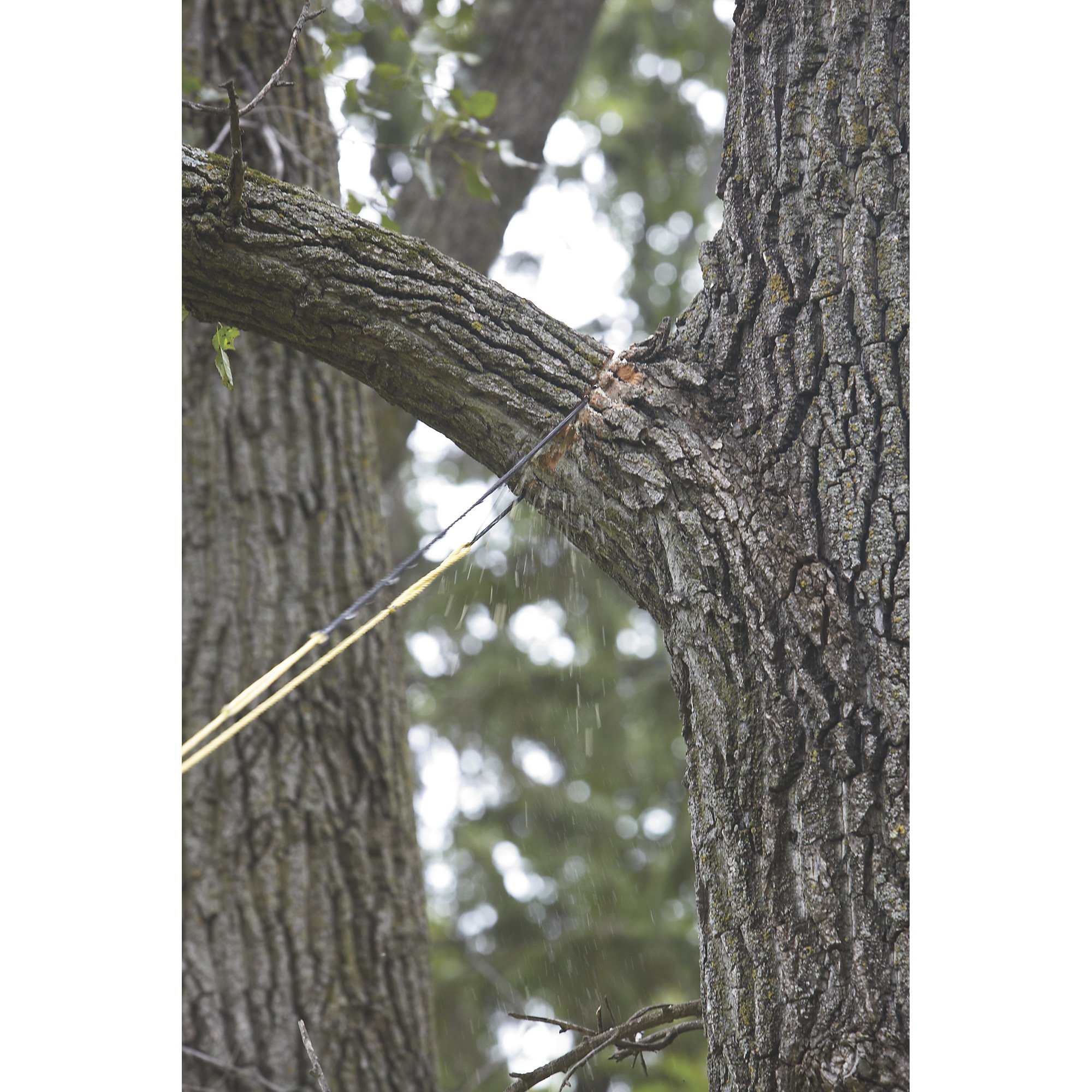High Limb Rope Chainsaw — 24in., Model# CS-24
